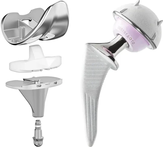 exemple implants orthopedique lepines