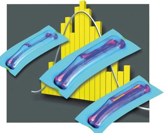 Spécial INDUSTRIE 2006 : AUTOFORM ENGINEERING présentera en avant première quelques nouveautés de sa future version AutoForm 4.1 enrichissant la gamme déjà très complète de logiciels de simulation et de conception pour les métiers du formage de tôle