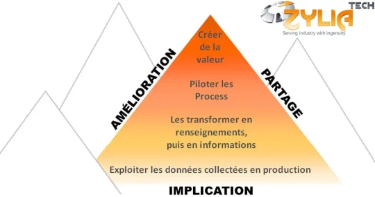 ARVE INFO ZYLIA TECH